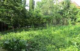 Vanzare casa demolabila, 80 mp utili, teren 709 ml, cu front de 16,5 ml