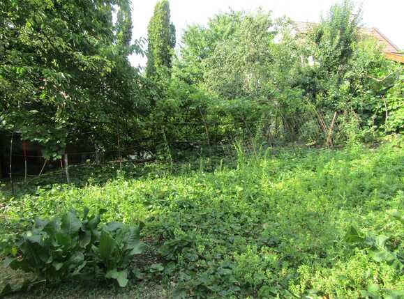 Casa de vânzare 3 camere Andrei Mureşanu - 19013CV | BLITZ Cluj-Napoca | Poza9