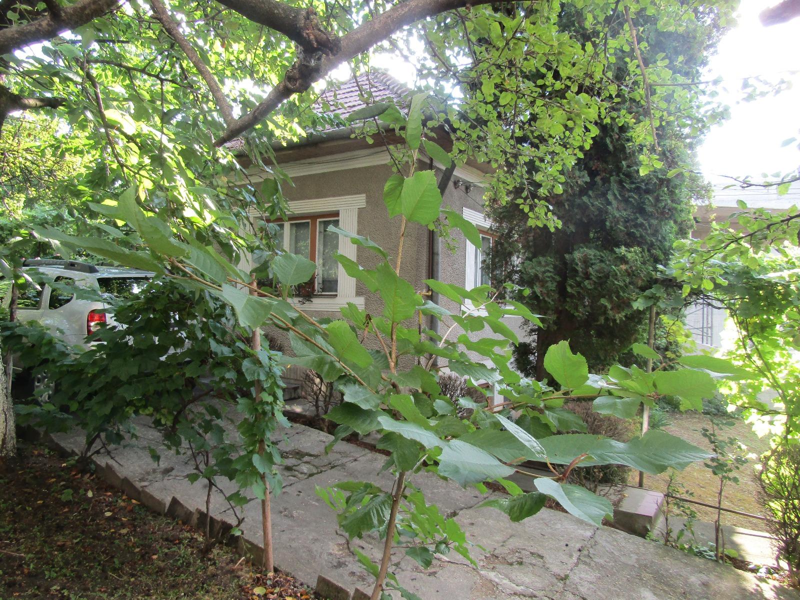 Casa de vânzare 3 camere Andrei Mureşanu - 19013CV | BLITZ Cluj-Napoca | Poza3