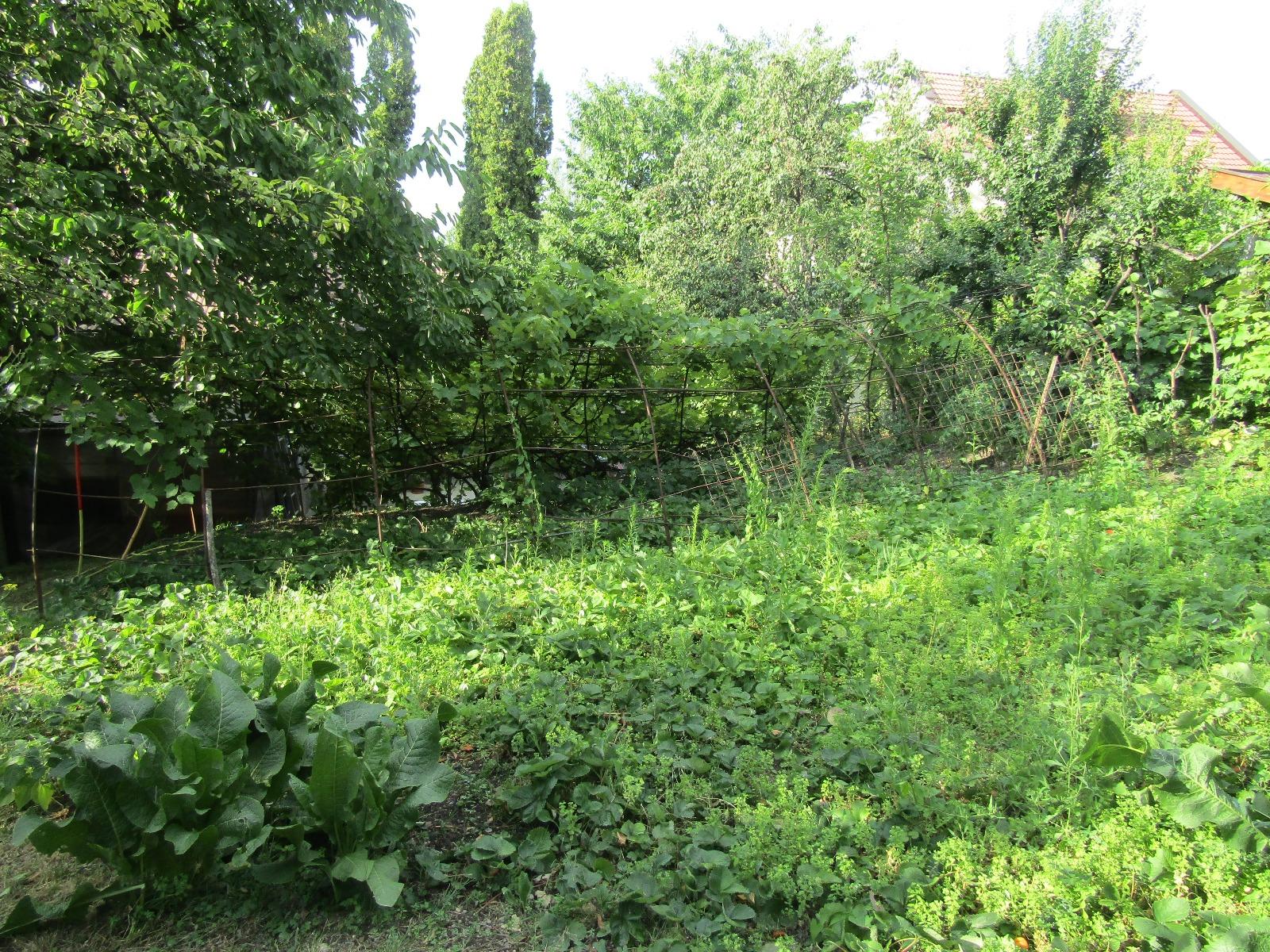 Casa de vânzare 3 camere Andrei Mureşanu - 19013CV | BLITZ Cluj-Napoca | Poza9