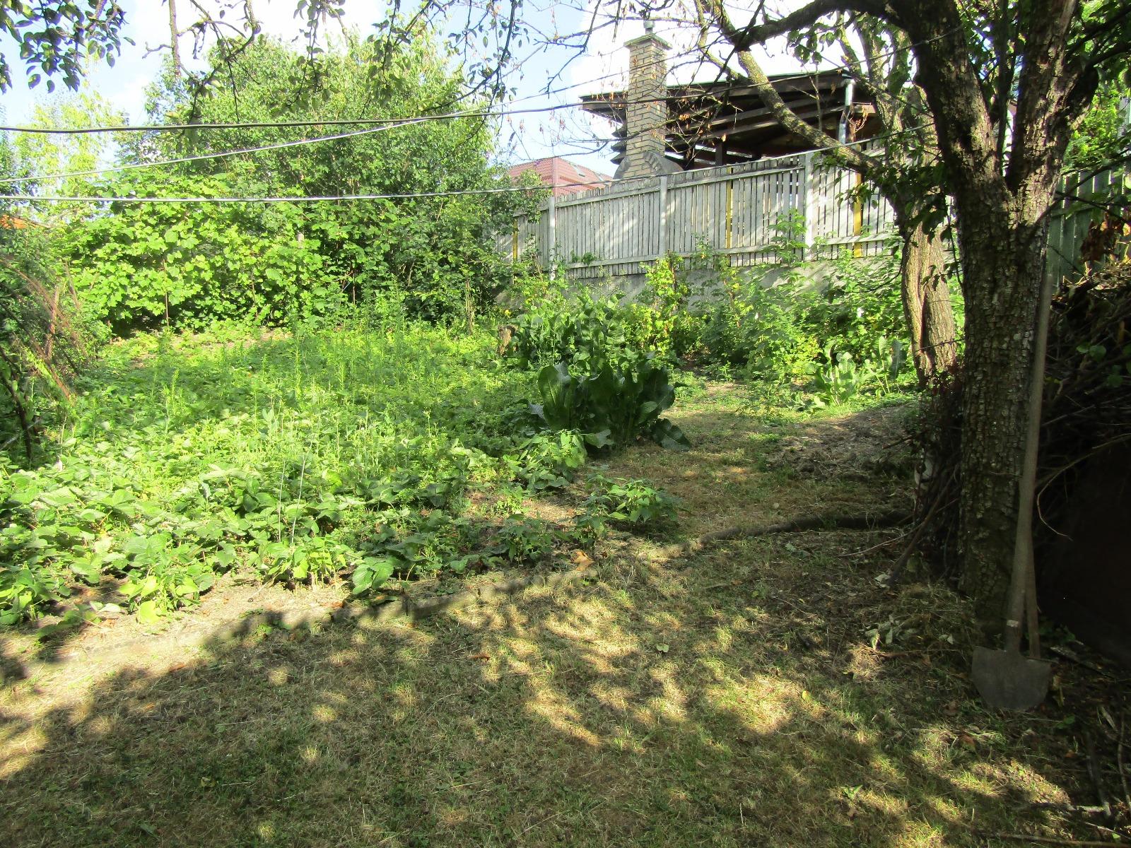 Casa de vânzare 3 camere Andrei Mureşanu - 19013CV | BLITZ Cluj-Napoca | Poza6