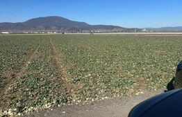 Teren de vânzare – 47.577 mp, Codlea, cu deschidere la DN1