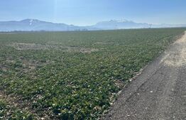 Teren de vânzare – 47.577 mp, Codlea, cu deschidere la DN1