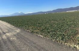 Teren de vânzare – 47.577 mp, Codlea, cu deschidere la DN1