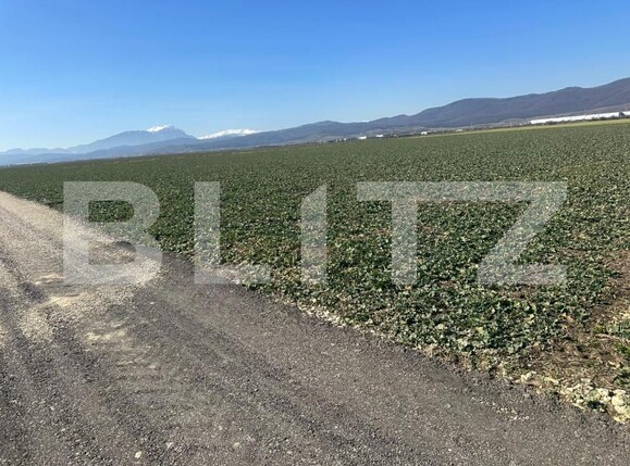 Teren de vânzare Codlea - 190168TV | BLITZ Brașov | Poza3