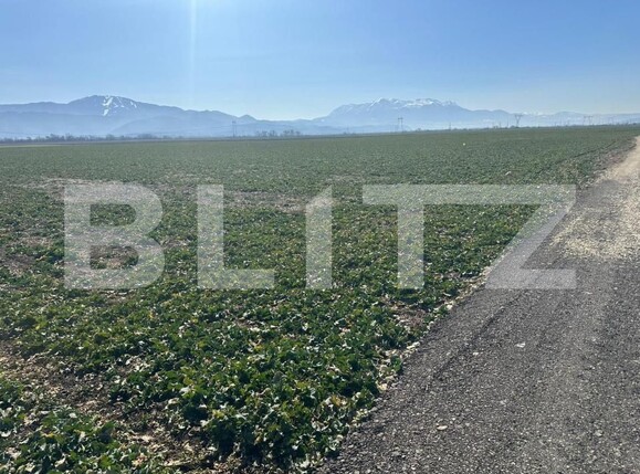 Teren de vânzare Codlea - 190168TV | BLITZ Brașov | Poza2