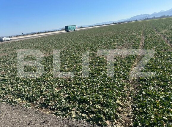 Teren de vânzare Codlea - 190168TV | BLITZ Brașov | Poza1