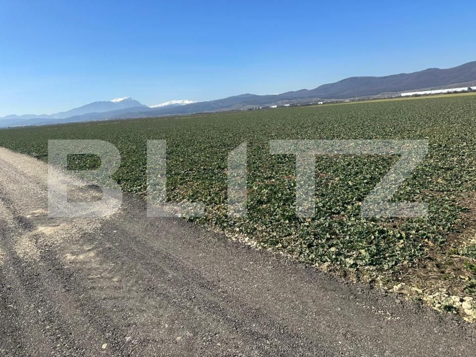 Teren de vânzare Codlea - 190168TV | BLITZ Brașov | Poza3