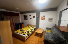 Apartament 1 camera, 34 mp, petfriendly, zona ANL