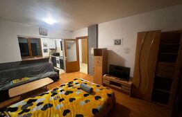 Apartament 1 camera, 34 mp, petfriendly, zona ANL