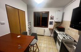 Apartament 1 camera, 34 mp, petfriendly, zona ANL