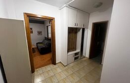 Apartament 1 camera, 34 mp, petfriendly, zona ANL