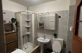 Apartament 1 camera, 34 mp + 5mp balcon, petfriendly, parcare, zona Florilor