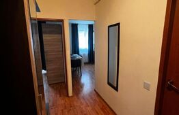 Apartament 1 camera, 34 mp + 5mp balcon, petfriendly, parcare, zona Florilor