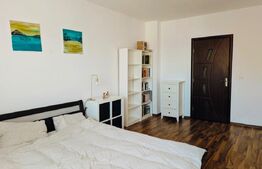Apartament pe două niveluri, 3 camere, pet-friendly - Sânpetru