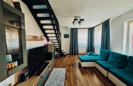 Apartament pe două niveluri, 3 camere, pet-friendly - Sânpetru