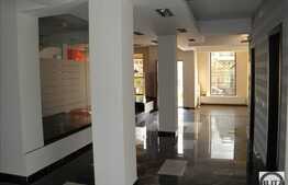 Calitate de exceptie in zona de top, 450 mp utili