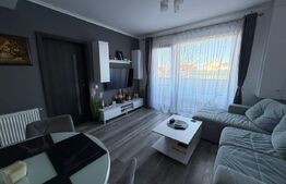 Apartament cu 2 camere, mobilat utilat cu gust, parcare, in Zorilor