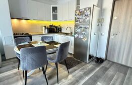 Apartament cu 2 camere, mobilat utilat cu gust, parcare, in Zorilor