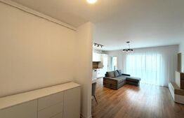Apartament, prima inchiriere, 50 mp, parcare, balcon, zona Teilor