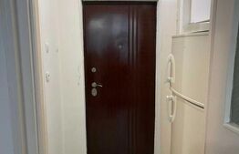 Garsoniera Catfriendly, 30 mp, zona Mega Image, str. Brancusi