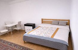 Garsoniera Catfriendly, 30 mp, zona Mega Image, str. Brancusi