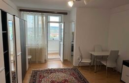 Garsoniera Catfriendly, 30 mp, zona Mega Image, str. Brancusi