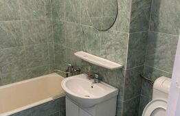 Garsoniera Catfriendly, 30 mp, zona Mega Image, str. Brancusi