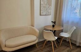 Garsoniera ,21mp ,zona SEMICENTRALA!