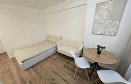 Garsoniera, 21 mp, zona SEMICENTRALA!