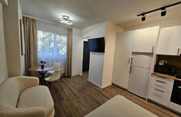 Garsoniera ,21mp ,zona SEMICENTRALA!