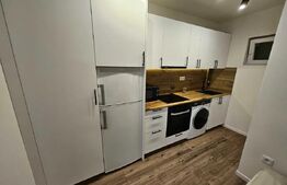 Garsoniera, 21 mp, zona SEMICENTRALA!