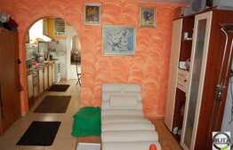 Vanzare casa individuala, 180 mp utili zona Tache Ionescu