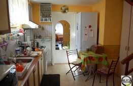 Vanzare casa individuala, 180 mp utili zona Tache Ionescu