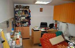 Vanzare casa individuala, 180 mp utili zona Tache Ionescu