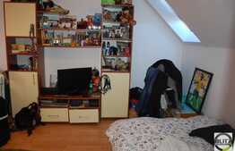 Vanzare casa individuala, 180 mp utili zona Tache Ionescu