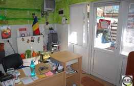 Vanzare casa individuala, 180 mp utili zona Tache Ionescu