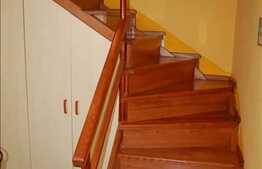 Vanzare casa individuala, 180 mp utili zona Tache Ionescu