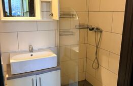 Apartament cu o camera, semidecomandat, pet friendly, loc de parcare, Calvaria