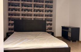 Apartament cu o camera, semidecomandat, pet friendly, loc de parcare, Calvaria