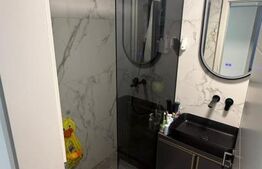 Apartament 3 camere, renovat recent, cart. Grigorescu zona Al. Vlahuta