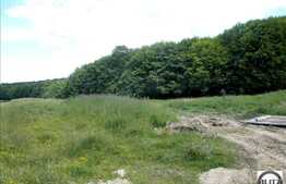 Casa in constructie de vanzare, 115 mp plus 250 mp teren