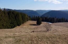 in EXCLUSIVITATE - Teren de vânzare cu priveliște spectaculoasă – Râșca