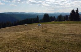 in EXCLUSIVITATE - Teren de vânzare cu priveliște spectaculoasă – Râșca