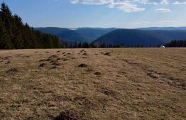 in EXCLUSIVITATE - Teren de vânzare cu priveliște spectaculoasă – Râșca