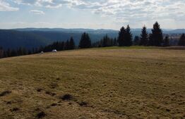 in EXCLUSIVITATE - Teren de vânzare cu priveliște spectaculoasă – Râșca