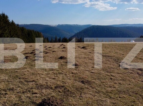 Teren de vânzare Râşca - 190436TV | BLITZ Cluj-Napoca | Poza5