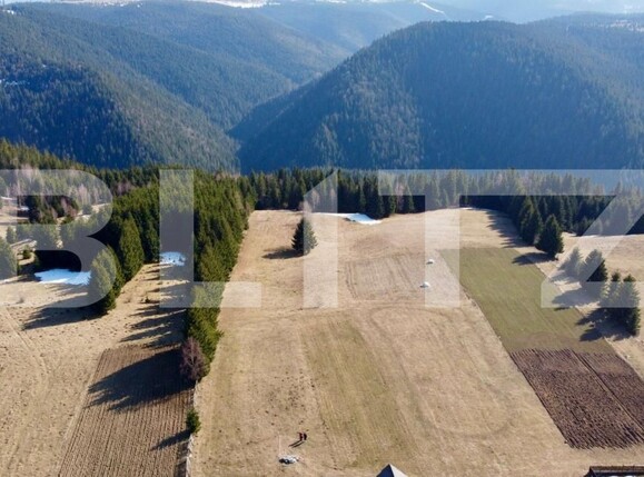 Teren de vânzare Râşca - 190436TV | BLITZ Cluj-Napoca | Poza2