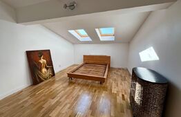 Duplex exclusivist– 400 mp, design modern, 5 dormitoare – zona Andrei Mureșanu