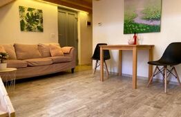 9 Apartamente, 2 camere, ultracentral - Investiție 